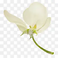 ��ɫ������-������