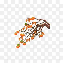 柿子树卡通矢量素材-空若网 柿子树卡通矢量素材-空若网