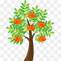 柿子树卡通-空若网 柿子树卡通-空若网