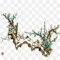 ��֦-������