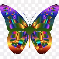 帝王蝴蝶夹艺术-蝴蝶-空若网 帝王蝴蝶夹艺术-蝴蝶-空若网