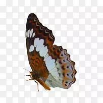 �������������ɶ�-������