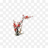 水彩 梅花专辑 中国风-空若网 水彩 梅花专辑 中国风-空若网