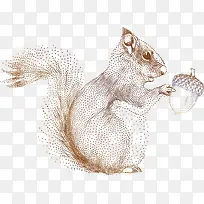 点状松鼠-空若网 点状松鼠-空若网