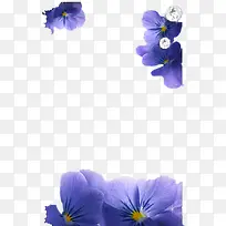 À¶É«»¨¶ù±ß¿ò-¿ÕÈôÍø À¶É«»¨¶ù±ß¿ò-¿ÕÈôÍø