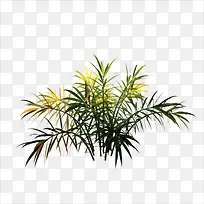 С��-������