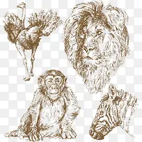 线条动物-空若网 线条动物-空若网