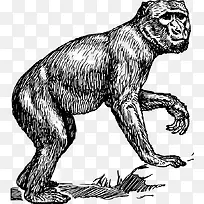 ��ͨ�ֻ������-������