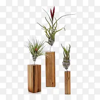 创意木头花盆-空若网 创意木头花盆-空若网