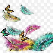 蝴蝶彩色羽毛-空若网 蝴蝶彩色羽毛-空若网