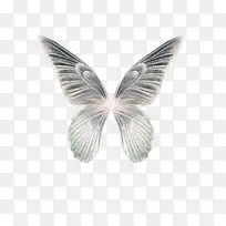 彩色翅膀图片 梦幻翅膀-空若网 彩色翅膀图片 梦幻翅膀-空若网