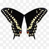 ��ë�ز�-������