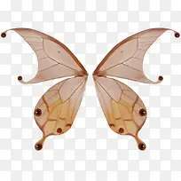 蝴蝶翅膀装饰-空若网 蝴蝶翅膀装饰-空若网