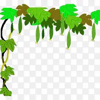 手绘丝瓜树藤-空若网 手绘丝瓜树藤-空若网