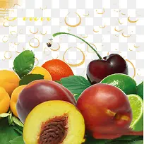 水果乐园-空若网 水果乐园-空若网