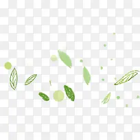 ��ҶƯ���زģ��Ա��زģ���ɫ��-������