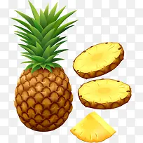 菠萝水果-空若网 菠萝水果-空若网