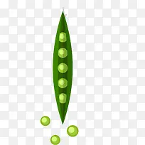 矢量蔬菜豆角-空若网 矢量蔬菜豆角-空若网