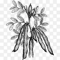 矢量手绘蔬菜-空若网 矢量手绘蔬菜-空若网