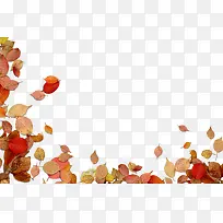 红色叶子边框-空若网 红色叶子边框-空若网
