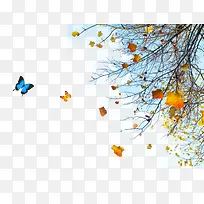 ����������-������