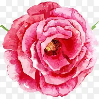 �ֻ�ˮ�ʻ���-������