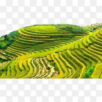 ��ƽ��ɽ��-������