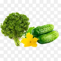 Á½ÖÖÊß²Ë-¿ÕÈôÍø Á½ÖÖÊß²Ë-¿ÕÈôÍø