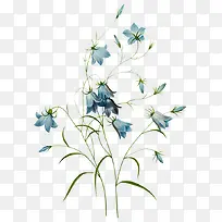 手绘花-空若网 手绘花-空若网