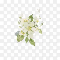 Ë®²ÊèÙ×Ó»¨-¿ÕÈôÍø Ë®²ÊèÙ×Ó»¨-¿ÕÈôÍø