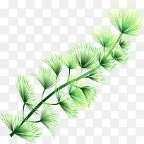 手绘海底水草植物-空若网 手绘海底水草植物-空若网