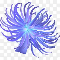 手绘海底水草植物-空若网 手绘海底水草植物-空若网