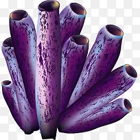 手绘海底水草植物-空若网 手绘海底水草植物-空若网