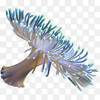 手绘海底水草植物-空若网 手绘海底水草植物-空若网