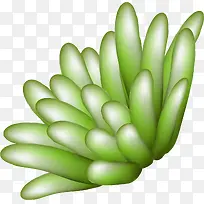 手绘海底水草植物-空若网 手绘海底水草植物-空若网