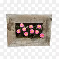 花瓣长方形-肉质边缘-空若网 花瓣长方形-肉质边缘-空若网