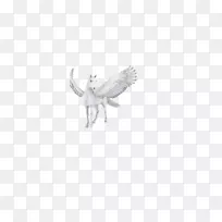 ������ڰ�������ͼ��-����-������