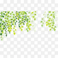 ÂÌɫҶ×Ó±³¾°ËزÄ-¿ÕÈôÍø ÂÌɫҶ×Ó±³¾°ËزÄ-¿ÕÈôÍø