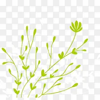 淡绿背景绿色枝条插画图片-空若网 淡绿背景绿色枝条插画图片-空若网