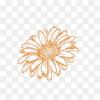 橙色太阳花-空若网 橙色太阳花-空若网