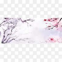 樱花-空若网 樱花-空若网