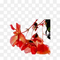 ˮ�ʺ���-������