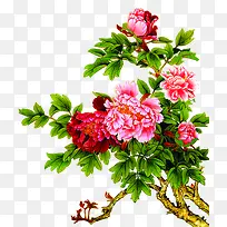 ˮ�ʺϳ��ֻ溣�Ļ��ϳ�-������