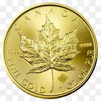 加拿大金枫叶金币-空若网 加拿大金枫叶金币-空若网