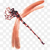 红色昆虫蜻蜓-空若网 红色昆虫蜻蜓-空若网