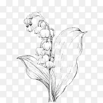 ��ɫ��д����-������