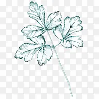 卡通手绘蓝色树叶-空若网 卡通手绘蓝色树叶-空若网