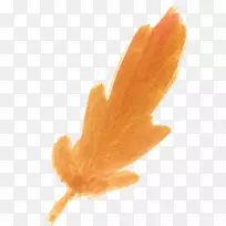 水彩画秋季剪贴画-水彩画白花-空若网 水彩画秋季剪贴画-水彩画白花-空若网