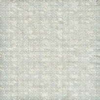 ���Ż��Ʊ���-������