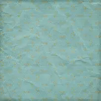 ����ֽ�ű���-������